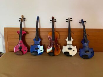 Joerg Widmoser's Violins