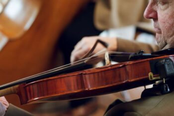 Violine 5